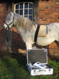 Bioresonanz Filou_klein